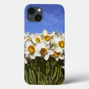 Funda Para iPhone 13 EE.UU., Oregón, Valle Willamette. Daffodis crece