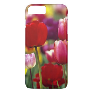 title_seo2 EE.UU., Oregón, Valle Willamette.Hermoso