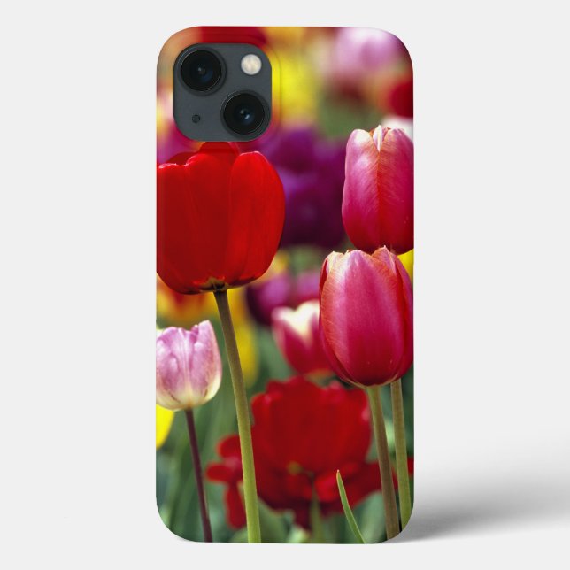 Funda De Case-Mate Para iPhone EE.UU., Oregón, Valle Willamette.Hermoso (Reverso)
