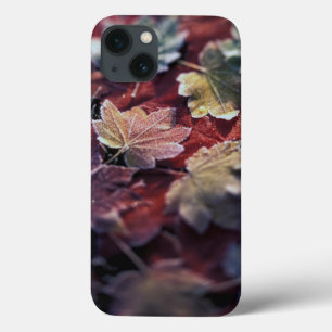 Funda Para iPhone 13 EE. UU., Pacífico Noroeste. Hojas de arce japonesa