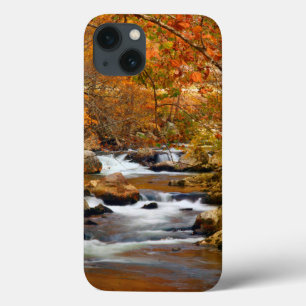 title_seo2 EE. UU., Tennessee. Arroyada Rushing Mountain