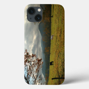 title_seo2 EE.UU., Tennessee. Caballos En El Valle De Cades C