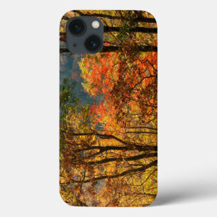 title_seo2 EE. UU., Tennessee. Follaje de otoño