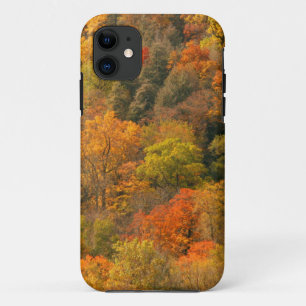 title_seo2 EE. UU., Tennessee. Follaje de otoño 2