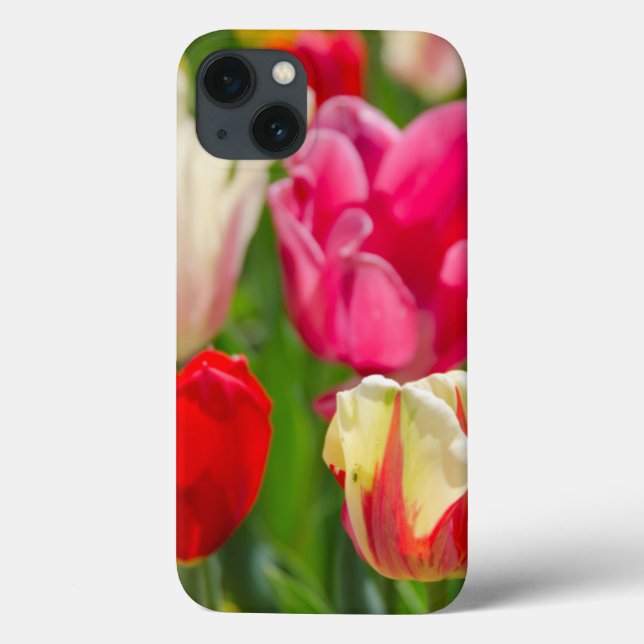 Funda De Case-Mate Para iPhone EE. UU., Tennessee, Nashville (Reverso)