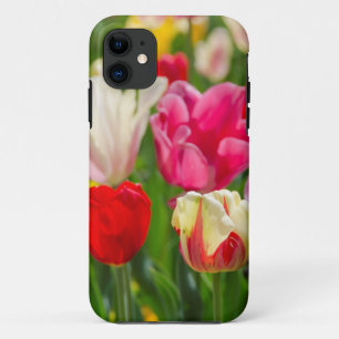 title_seo2 EE.UU., Tennessee, Nashville