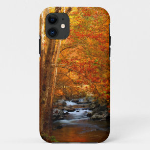 title_seo2 EE. UU., Tennessee. Rushing Mountain Creek 2