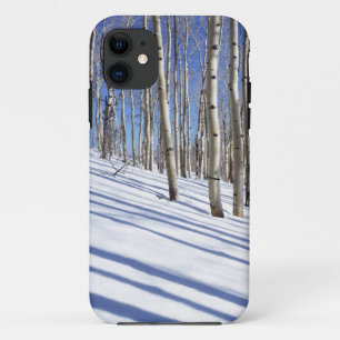 title_seo2 EE. UU., Utah, Bosque Nacional Dixie, Aspen Grove