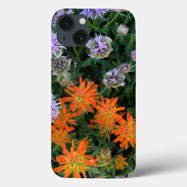 Funda De Case-Mate Para iPhone EE. UU., Utah, Bosque Nacional Uinta-Wasatch-Cache (Reverso)