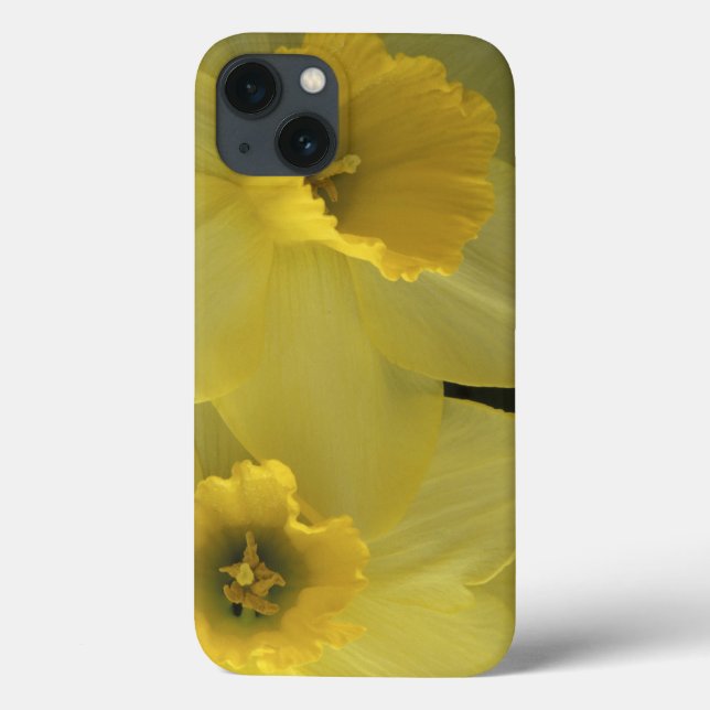 Funda De Case-Mate Para iPhone EE. UU., Utah, narcisos de Cache Valley (Reverso)