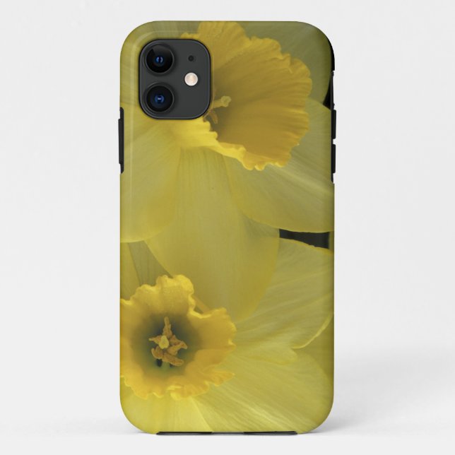 Funda De Case-Mate Para iPhone EE. UU., Utah, Narcisos de Cache Valley (Reverso)