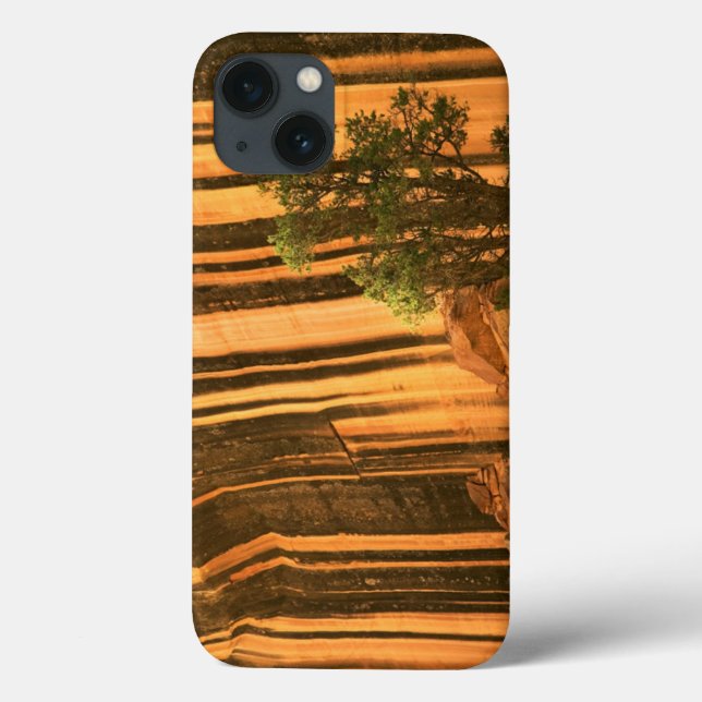 Funda De Case-Mate Para iPhone EE. UU., Utah, Parque Nacional Capitol Reef (Reverso)