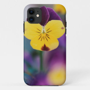 Funda Para iPhone 11 EE. UU., Utah, Primer plano de Viola tricolor en j