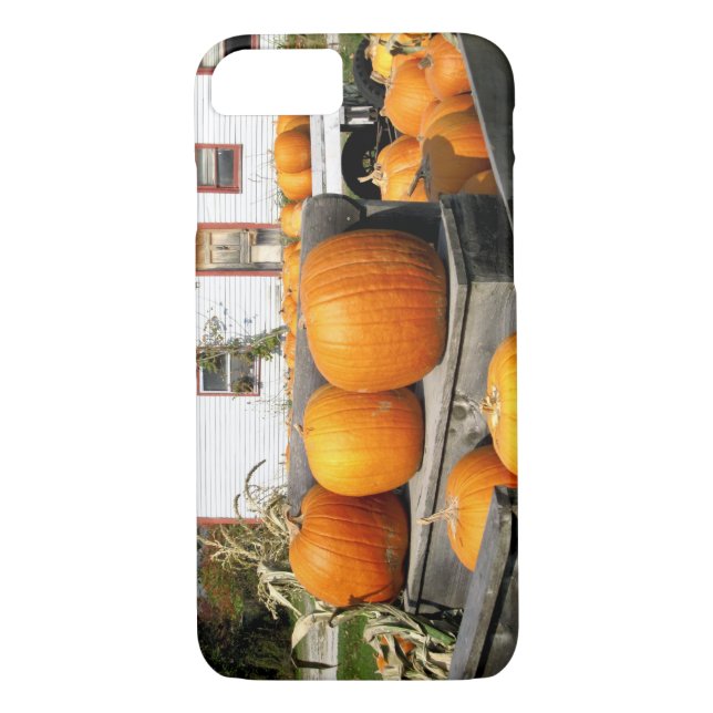 Funda De Case-Mate Para iPhone EE.UU., Vermont.Calabazas (Reverso)