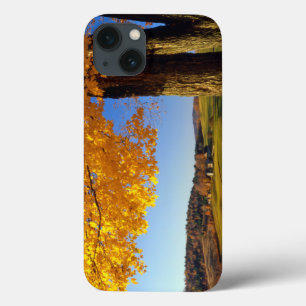 Funda Para iPhone 13 EE.UU., Vermont. Granja Escénica Cerca De Woodstoc
