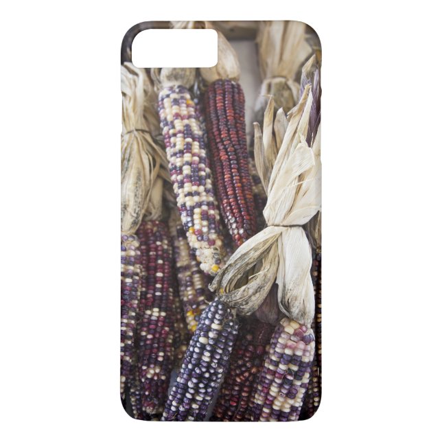 Funda De Case-Mate Para iPhone EE. UU., Virginia Occidental, Charleston. Capitol (Reverso)