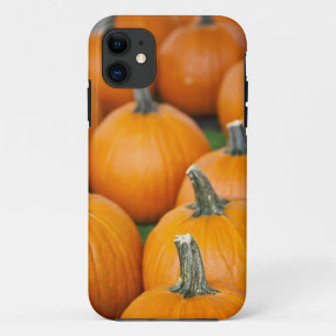 Funda Para iPhone 11 EE. UU., Virginia Occidental, Charleston. Capitol 