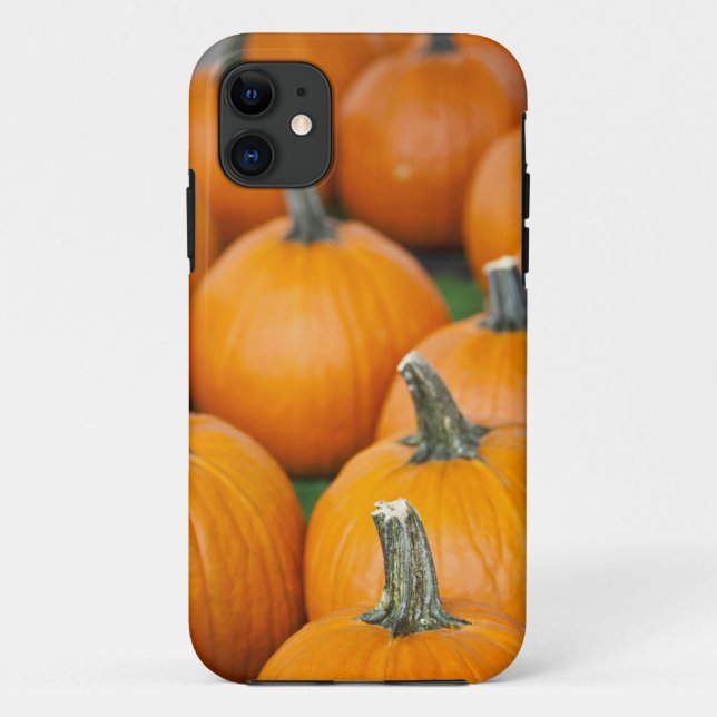 Funda De Case-Mate Para iPhone EE. UU., Virginia Occidental, Charleston. Capitol  (Reverso)