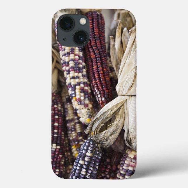 Funda De Case-Mate Para iPhone EE. UU., Virginia Occidental, Charleston. Capitol (Reverso)