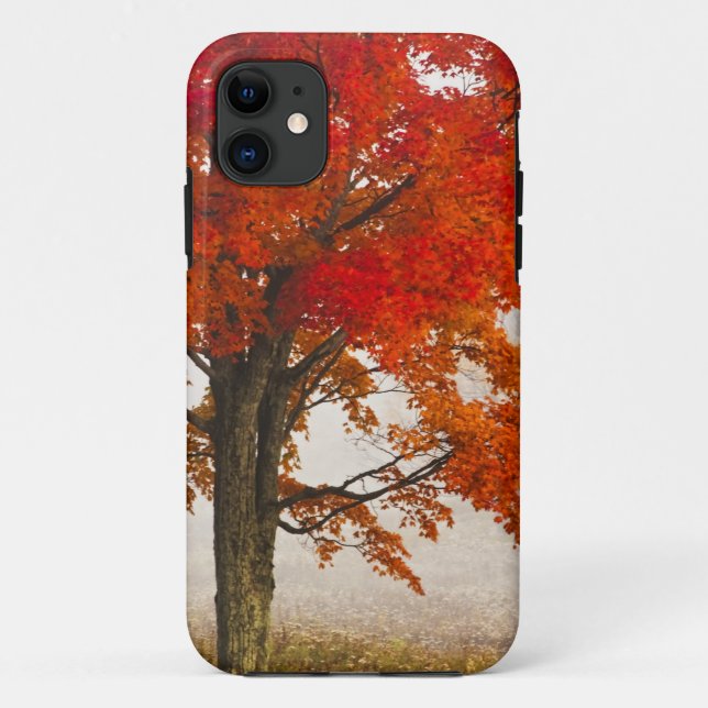 Funda De Case-Mate Para iPhone EE. UU., Virginia Occidental, Davis. Arce rojo en  (Reverso)