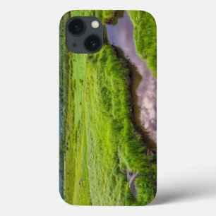 Funda Para iPhone 13 EE.UU., Virginia Occidental, Davis. Paisaje 2