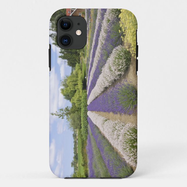 Funda De Case-Mate Para iPhone EE.UU., WA, Sequim, Granja de lavanda de niebla pú (Reverso)