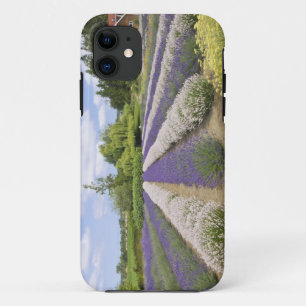 title_seo2 EE. UU., WA, Sequim, Purple Haze Lavender Farm