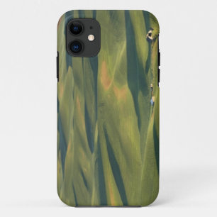 Funda Para iPhone 11 EE.UU., WA, Whitman Co., Palouse Farm Fields