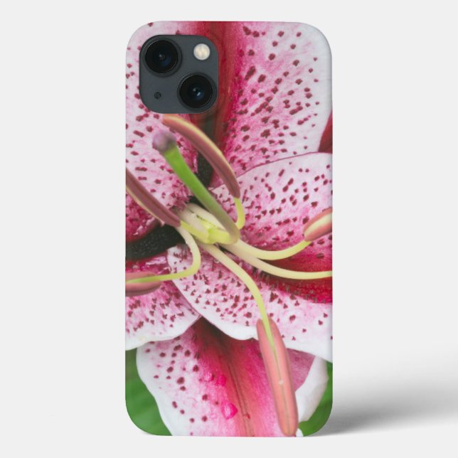 Funda De Case-Mate Para iPhone EE. UU., Washington, Bellevue, Lily (Reverso)