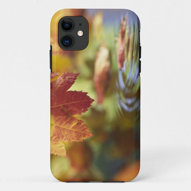 Funda De Case-Mate Para iPhone EE. UU., Washington, Bellingham, Primer plano de o (Reverso)