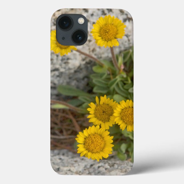 Funda De Case-Mate Para iPhone EE.UU., Washington, Cascade Range 5 (Reverso)