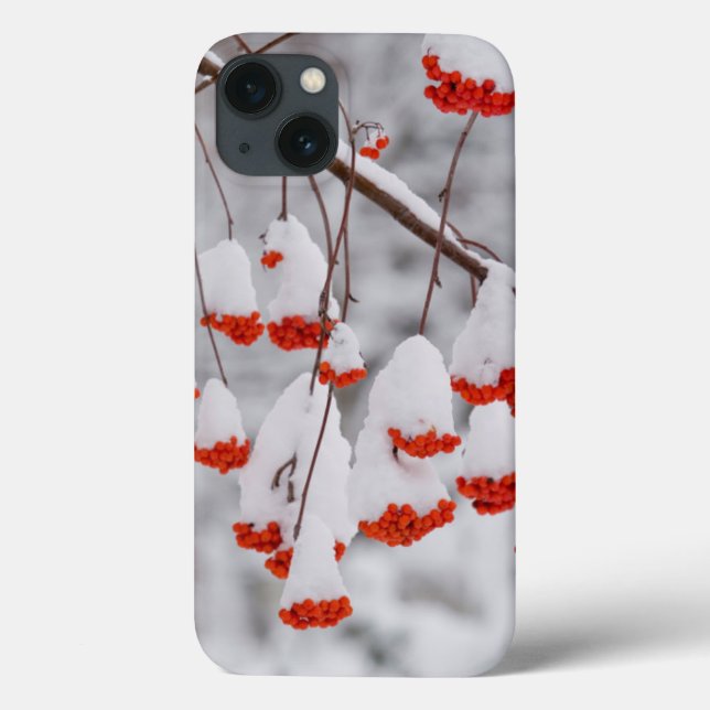 Funda De Case-Mate Para iPhone EE. UU., Washington, condado de Spokane (Reverso)