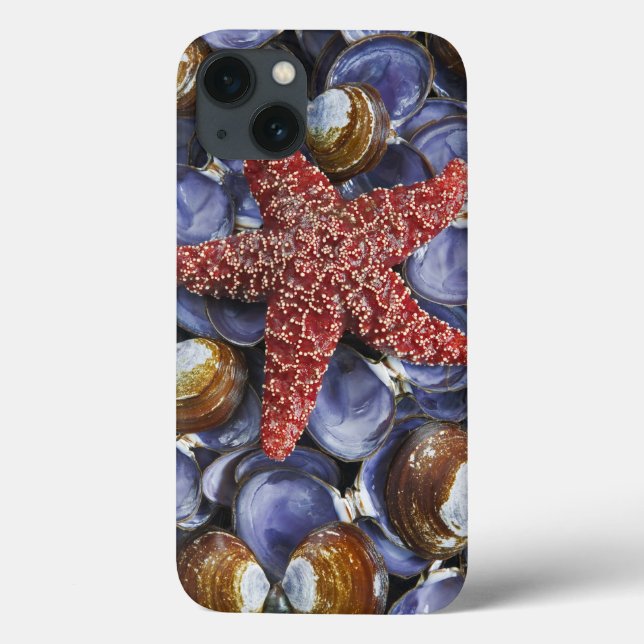 Funda De Case-Mate Para iPhone EE. UU., Washington, Hood Canal, Seabeck. Primer p (Reverso)