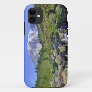title_seo2 EE. UU., Washington, Mt. Rainier NP, Mt. Rainier y