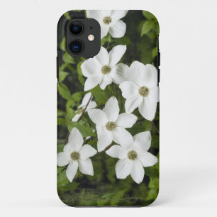 Funda Para iPhone 11 EE.UU., Washington, Pacific Dogwood, Cornus