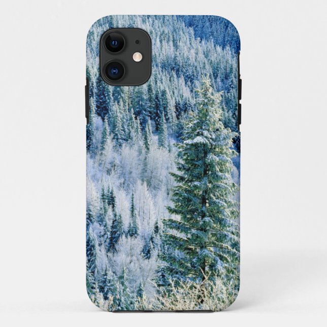 Funda De Case-Mate Para iPhone EE. UU., Washington, Parque Estatal Mt. Spokane, A (Reverso)