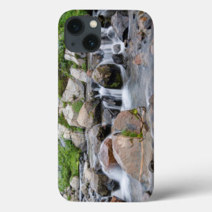 Funda Para iPhone 13 EE.UU., Washington, Parque Nacional del Monte Rain