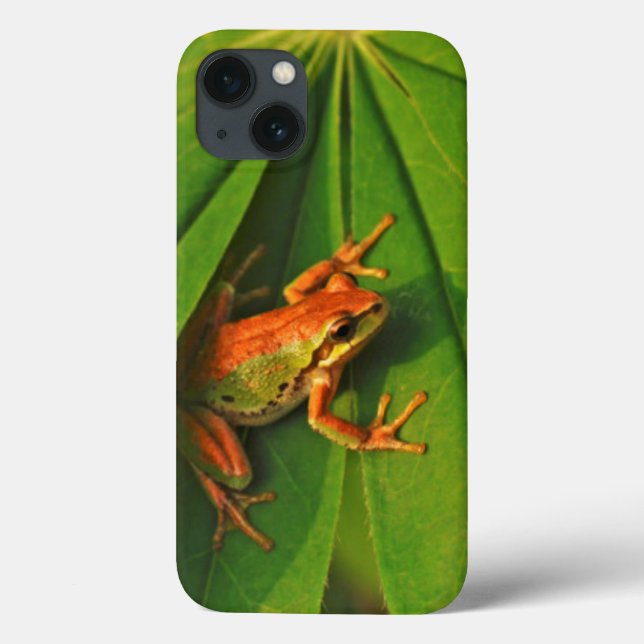 Funda De Case-Mate Para iPhone EE. UU., Washington, Seattle, Discovery Park 2 (Reverso)