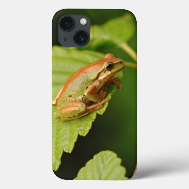 Funda De Case-Mate Para iPhone EE. UU., Washington, Seattle, Parque Discovery (Reverso)