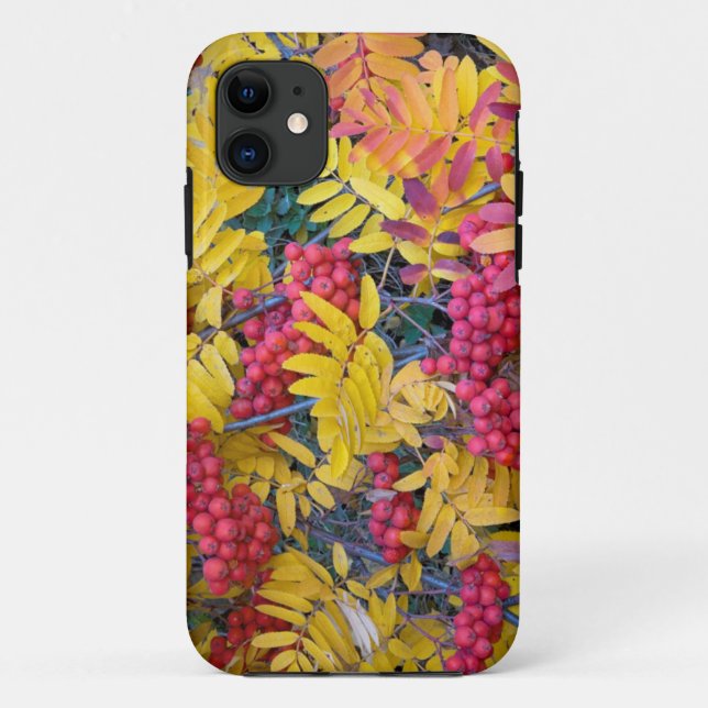Funda De Case-Mate Para iPhone EE. UU., Washington, Serbal de Sitka, Okanogan (Reverso)