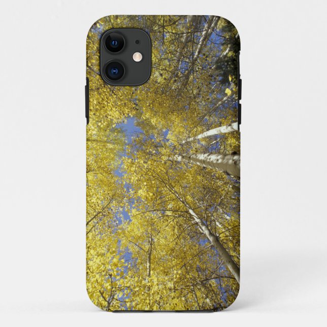 Funda De Case-Mate Para iPhone EE. UU., Washington, Stevens Pass Álamo temblón de (Reverso)