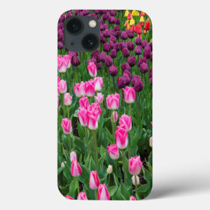 title_seo2 EE. UU., Washington. Tulipanes en flor