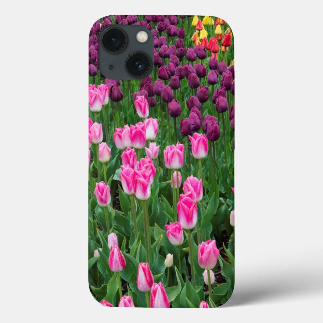 Funda De Case-Mate Para iPhone EE. UU., Washington. Tulipanes en flor (Reverso)