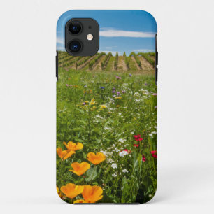 title_seo2 EE. UU., Washington, Walla Walla. Flores silvestre