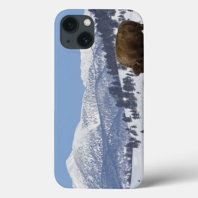 Funda De Case-Mate Para iPhone EE. UU., WY, Parque Nacional Yellowstone, Bisonte  (Reverso)
