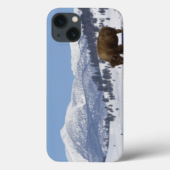 Funda De Case-Mate Para iPhone EE. UU., WY, Parque Nacional Yellowstone, Bisonte  (Reverso)