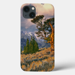 title_seo2 EE. UU., Wyoming, Grand Teton NP. El amanecer salu