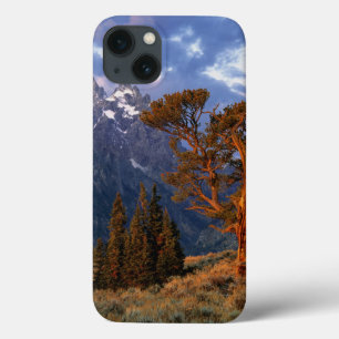 title_seo2 EE. UU., Wyoming, Parque Nacional Grand Teton. Un