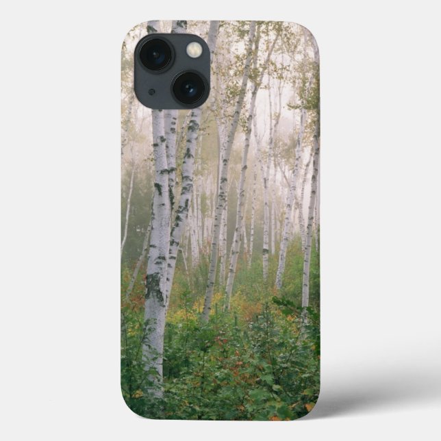 Funda De Case-Mate Para iPhone EEUU, New Hampshire. Árboles de aves limpiando nie (Reverso)