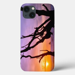 Funda Para iPhone 13 EEUU, Oregón, Cabo Meares.Atardecer